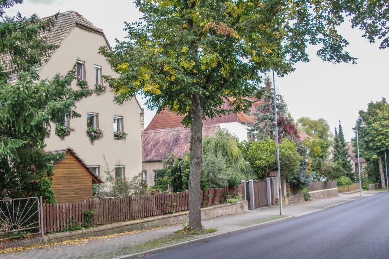 Pension Muldental Grossbothen Grimma Exteriér fotografie