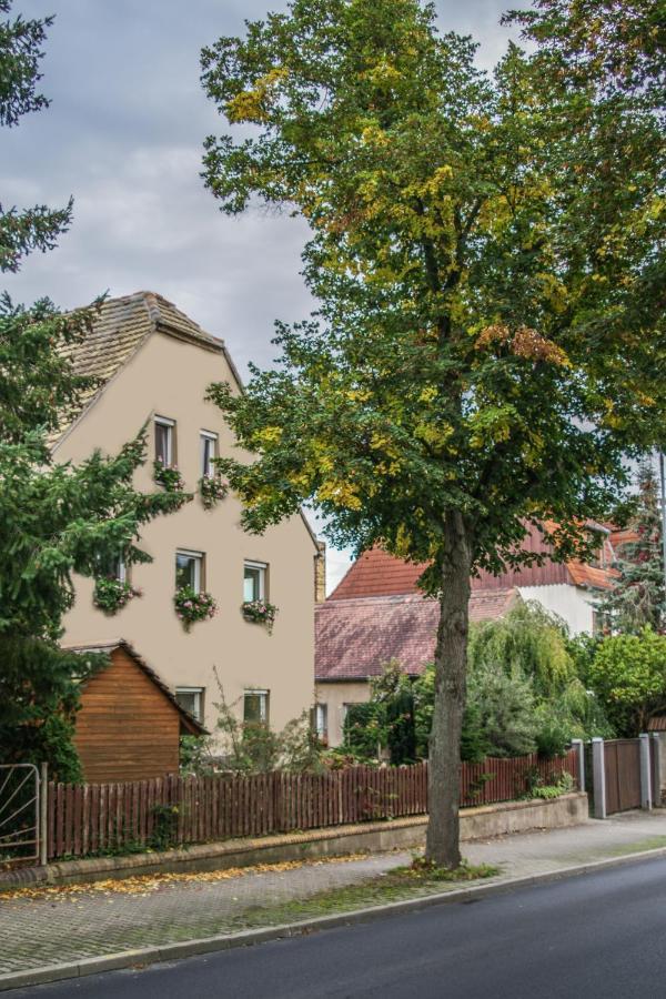 Pension Muldental Grossbothen Grimma Exteriér fotografie